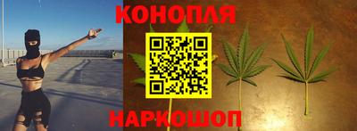 PSILOCYBIN Бугуруслан