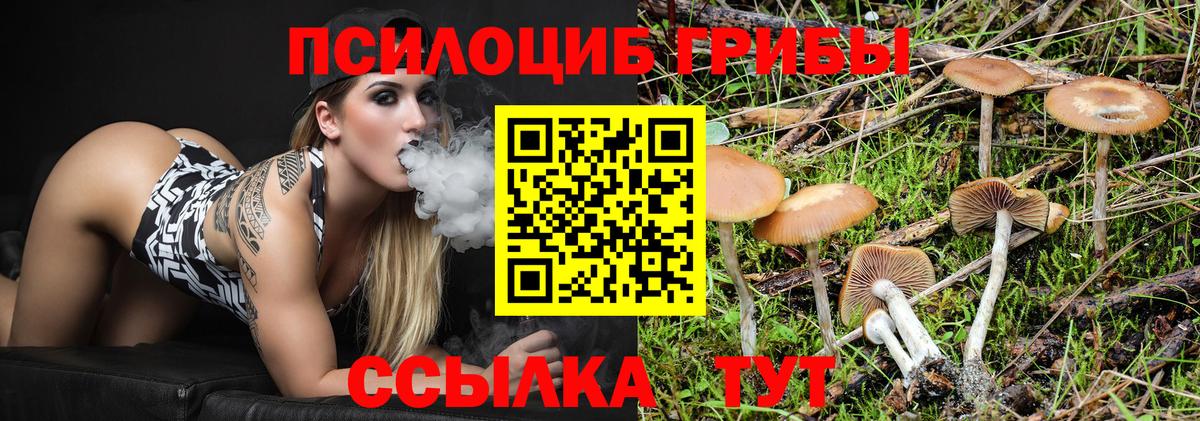 что такое наркотик  Вход с VPN  Галлюциногенные грибы прущие грибы  Екатеринбург  Галлюциногенные грибы мухоморы 